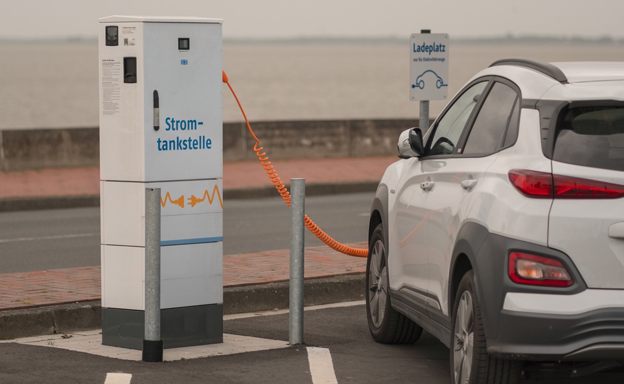Banning electric cars